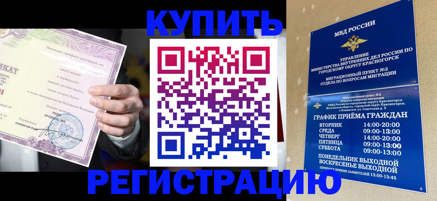 временная регистрация собственник в Новосибирской области